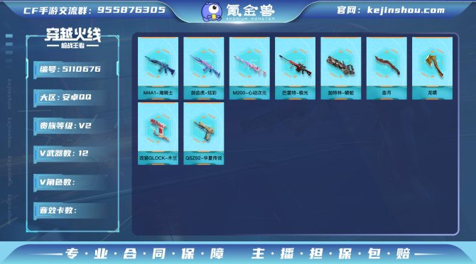 实名: 可修改 v武器数: 12 v武器:...