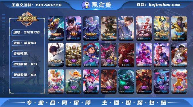 阿瞒 103皮肤1典藏6传说iOS【武陵仙...