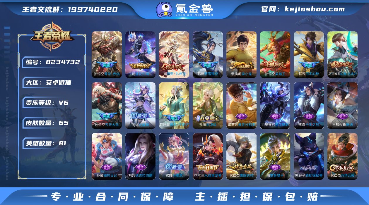 实名: 可修改 贵族等级: V6 英雄数:...
