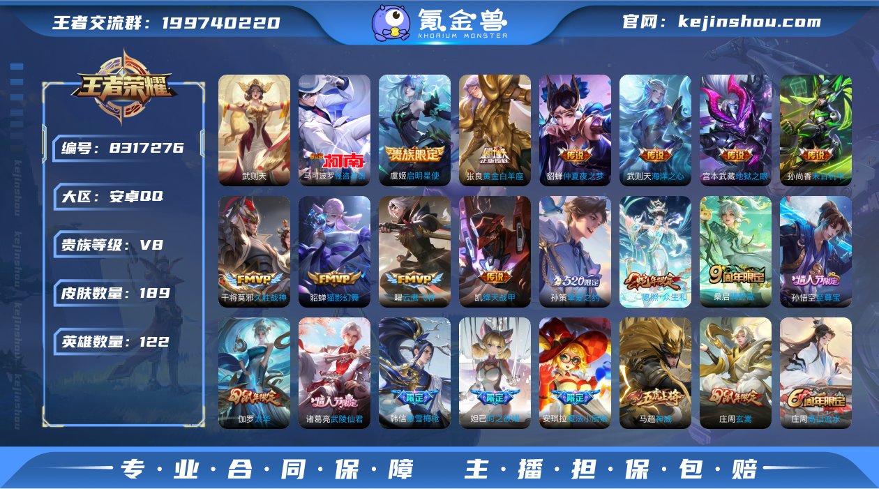 V8 189皮肤1典藏1珍品16传说 武则...