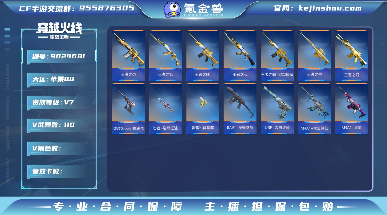 实名: 不可修改 v武器数: 110 王者...