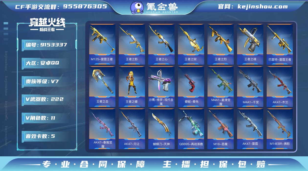 实名: 不可修改 v武器数: 222 王者...