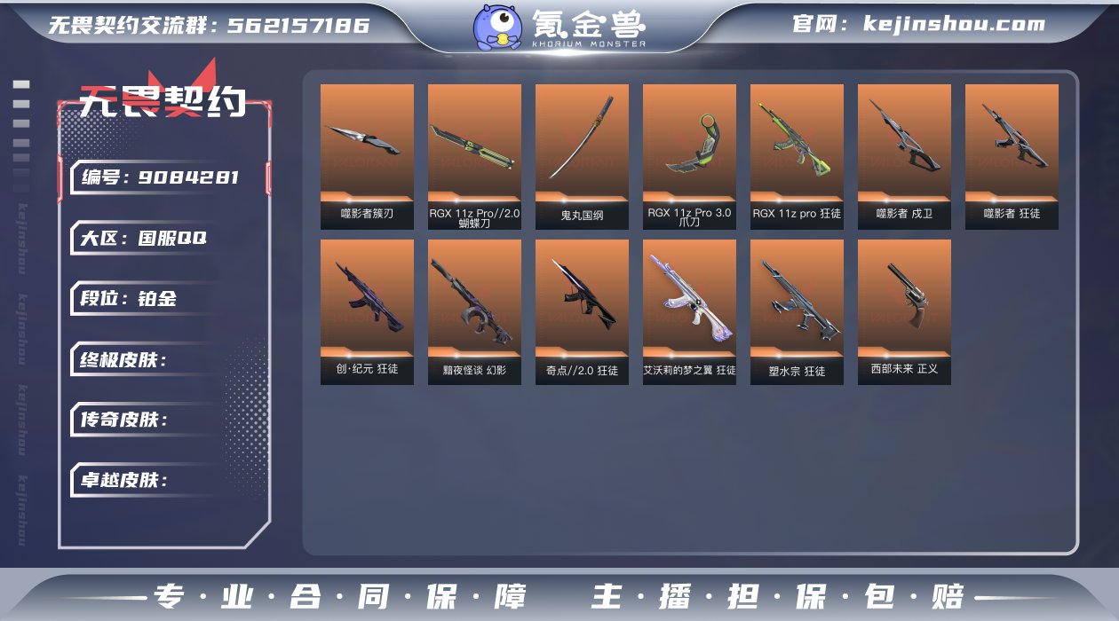 套装: RGX 11z Pro//3.0套...