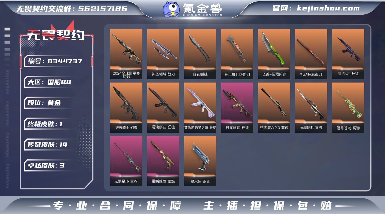 14橙皮 1金皮 3紫皮 63皮肤 26英...
