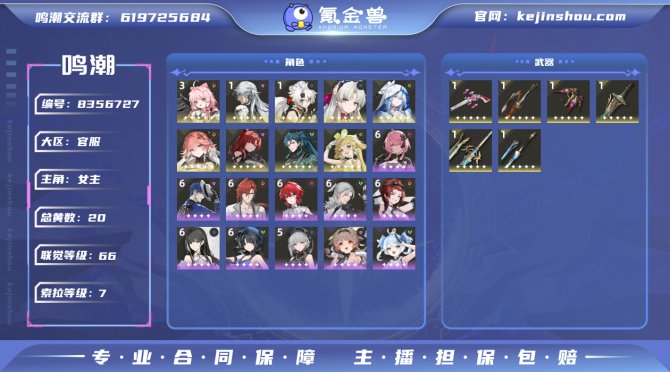 氪金兽
