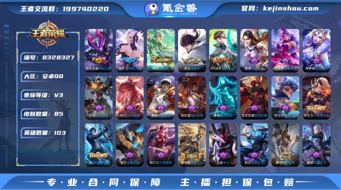 氪金兽