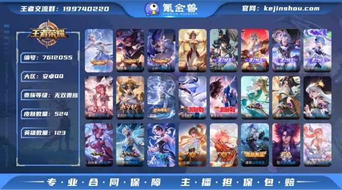 无双V10 新伽罗典藏 落星盏 蛇年套 幻...