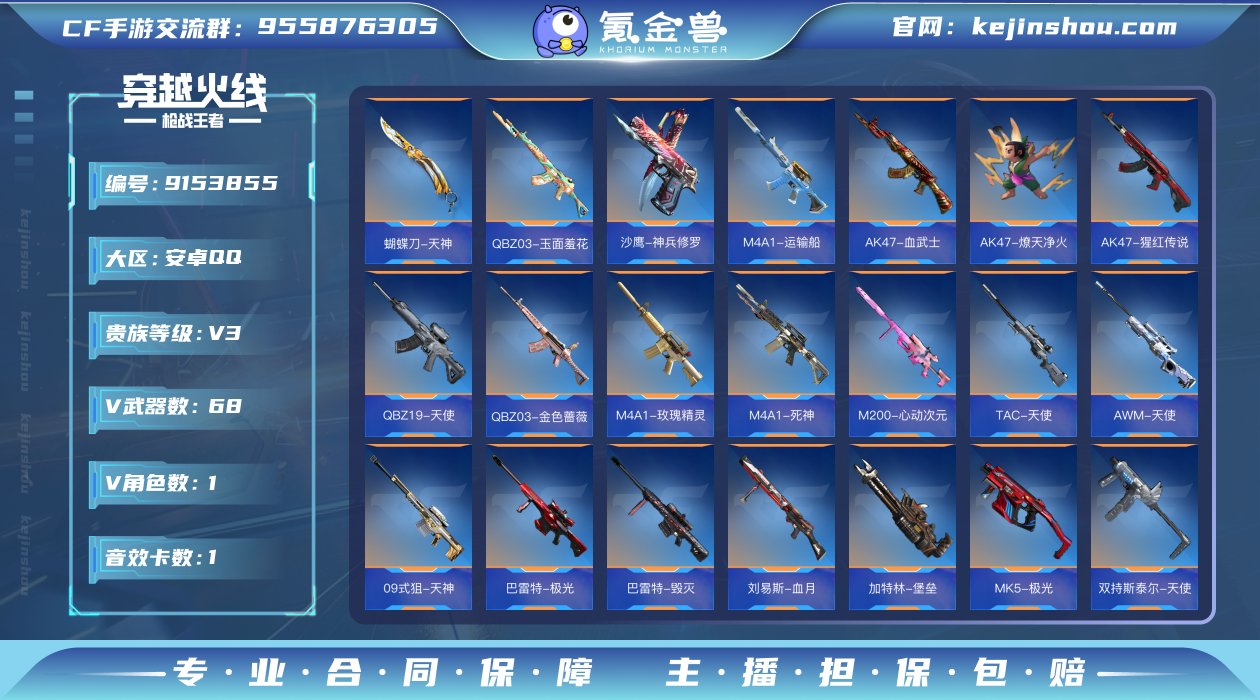 实名: 可修改 v武器数: 68 V/王者...
