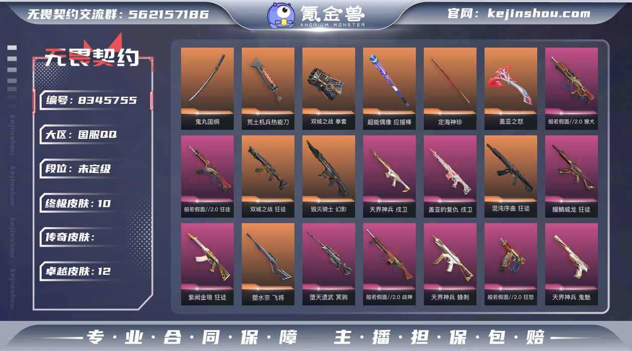 T0038 48皮10橙12紫 皮肤资产3...