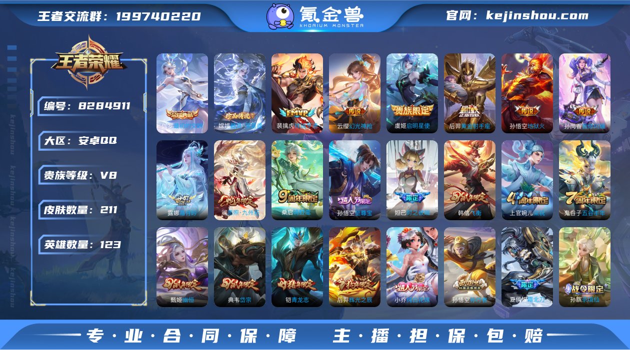 【WZZ2906】贵族8/皮肤211/典藏...