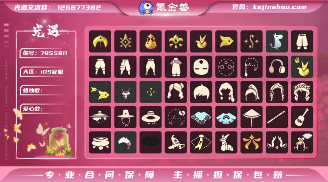 氪金兽