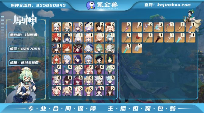 氪金兽