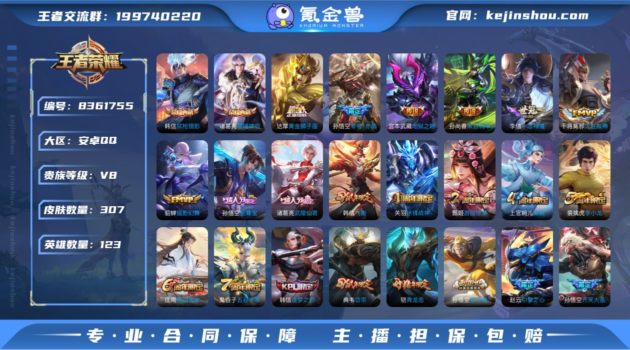 DSW1514【307皮肤2典藏10传说V...
