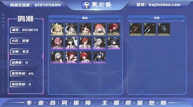 氪金兽
