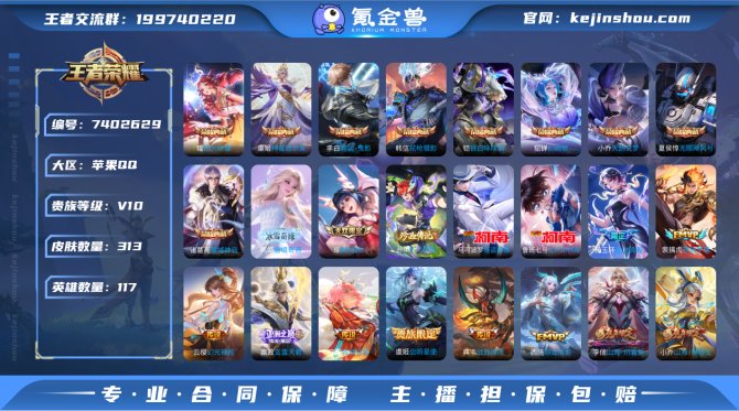 顾安V10可改实名 iOS🍎/313皮肤9...