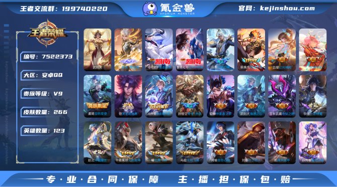 v9 蛇年全套 1无双2珍品33传说123...