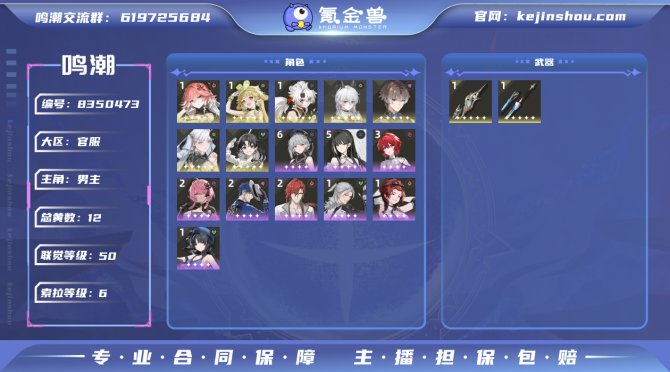 氪金兽
