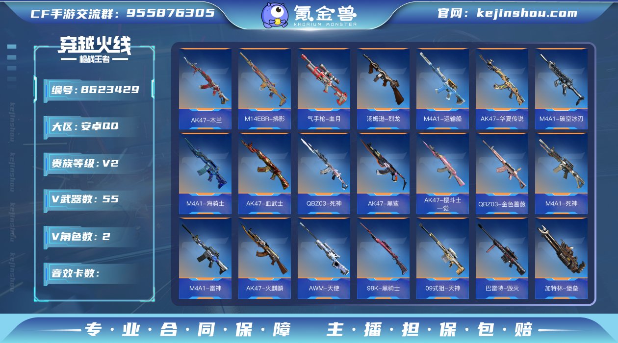 实名: 可修改 v武器数: 55 V/王者...