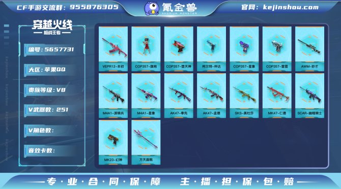 实名: 可修改 v武器数: 251 v武器...