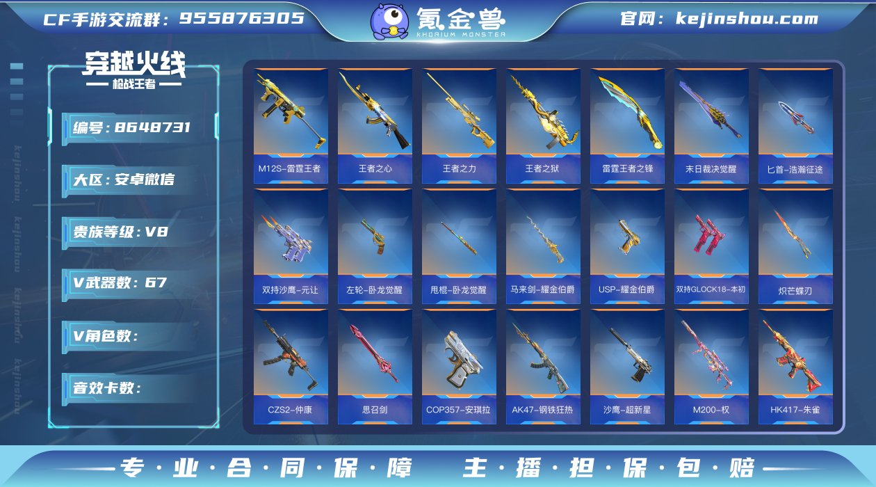 实名: 可修改 v武器数: 67 王者武器...
