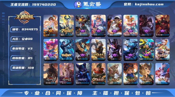 氪金兽