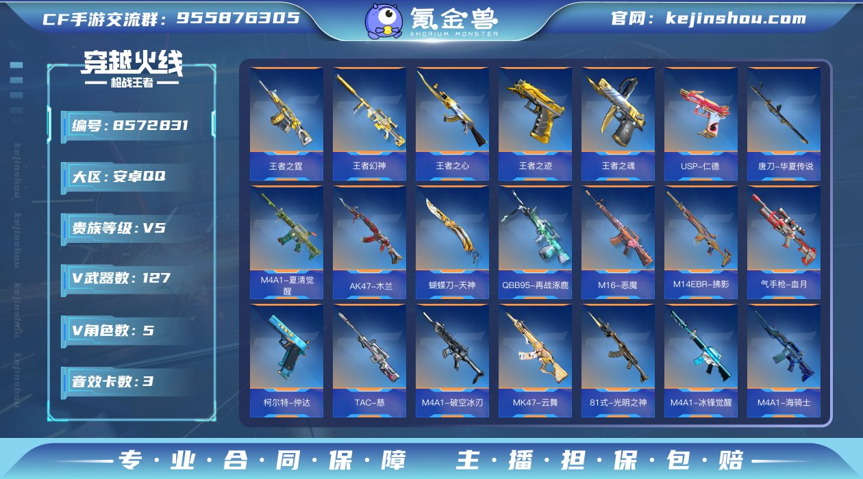 实名: 不可修改 v武器数: 127 王者...