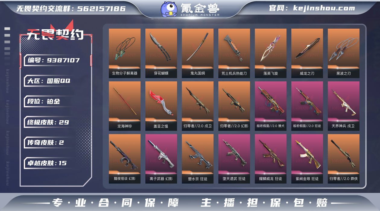 【套装】：VCT 2025 赛季套装，虚空...
