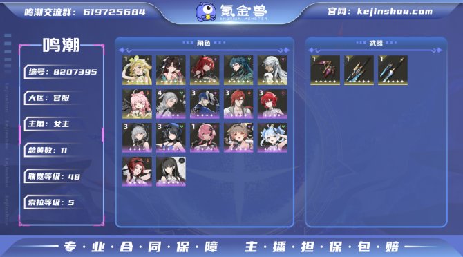 氪金兽