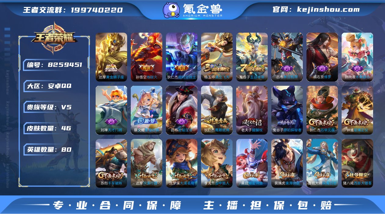DD9260 安卓Q 可二次 3传说80英...