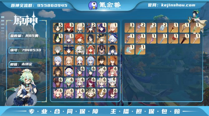 氪金兽