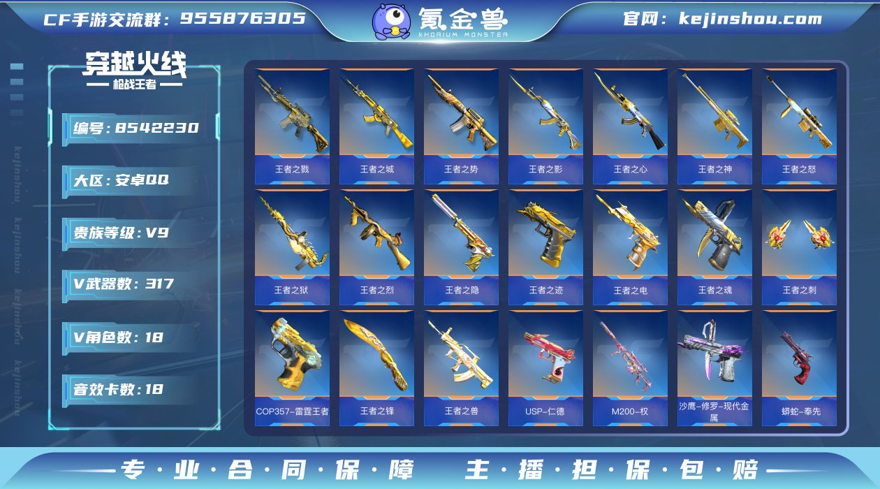 实名: 可修改 v武器数: 317 王者武...