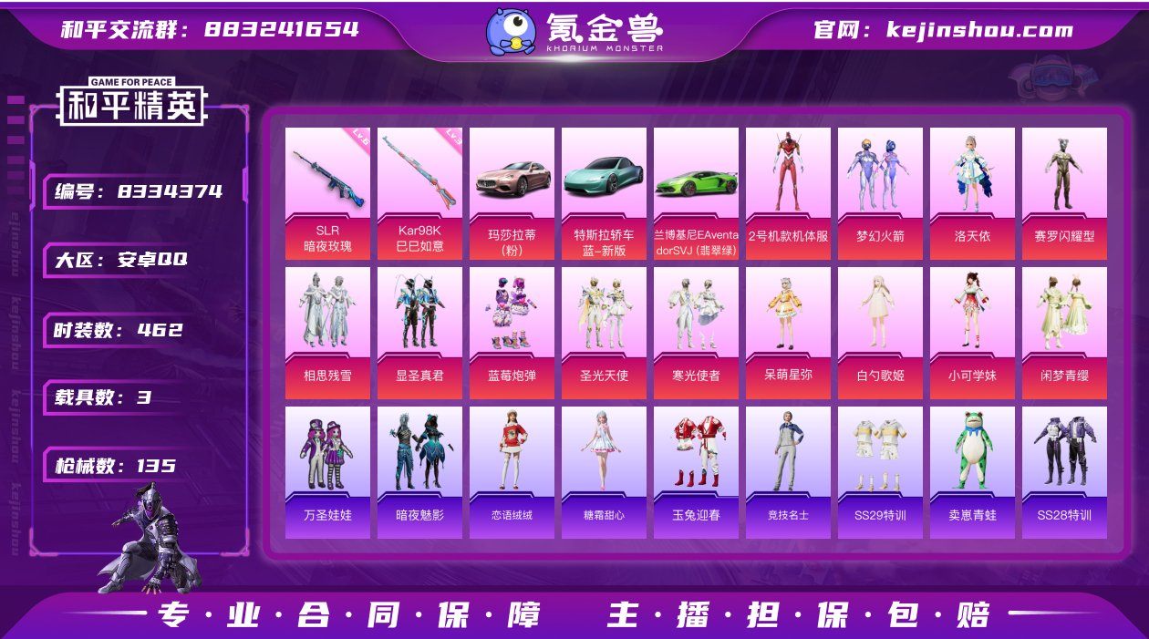 13粉装 2特效枪 3载具 5印记 可二次...