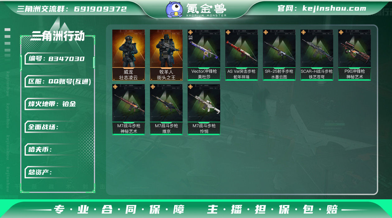 "TZ-总资产384.6m/哈夫币105m...