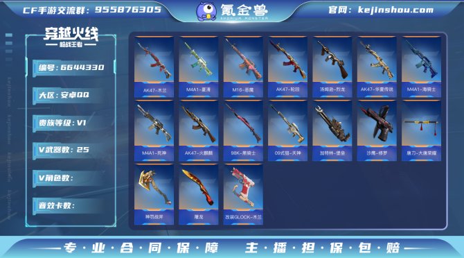 实名: 可修改 v武器数: 25 v武器:...