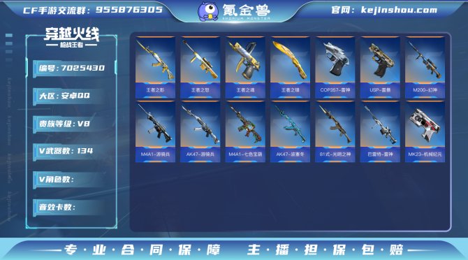 实名: 可修改 v武器数: 134 王者武...