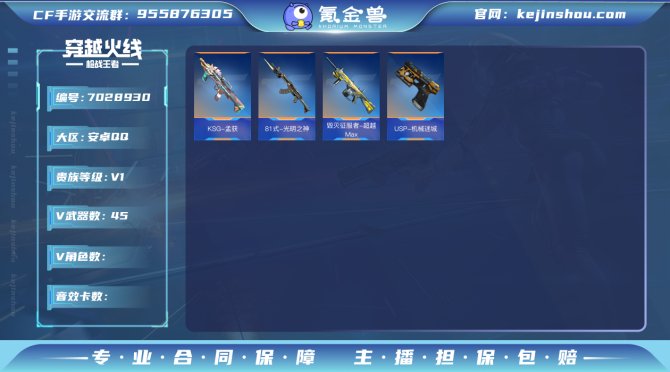 实名: 可修改 v武器数: 45 v武器:...