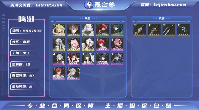氪金兽