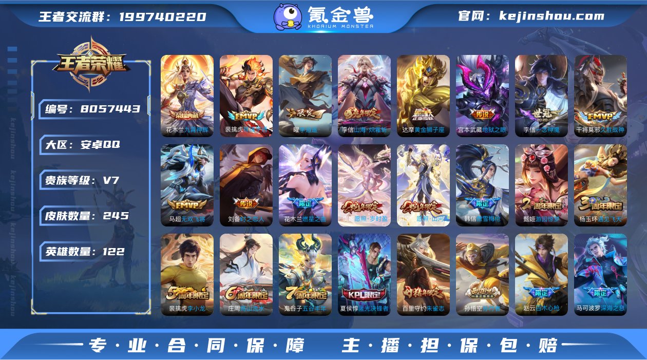 对抗28/花木兰九霄神辉/传说15 无双飞...