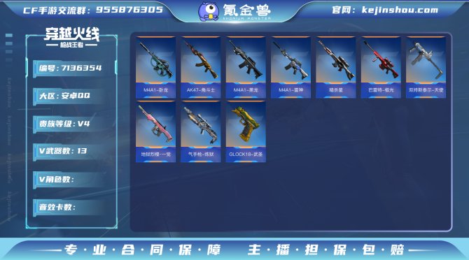 实名: 可修改 v武器数: 13 v武器:...