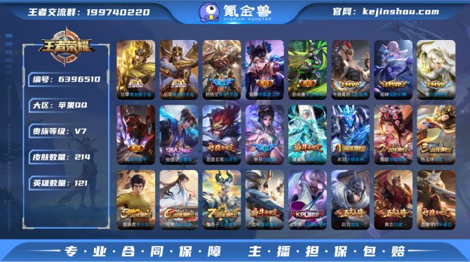 sd - iOS 金标伽罗 214皮肤1典...