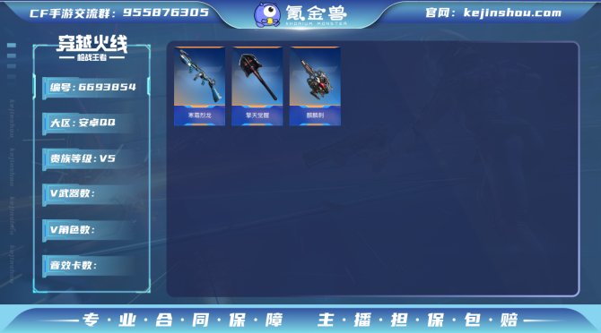 V5 81V AK47黑武士觉醒 AK47...