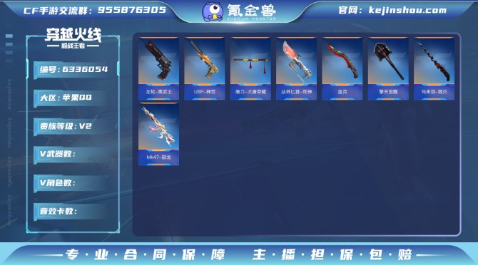 实名: 不可修改 v武器: USP-神罚,...