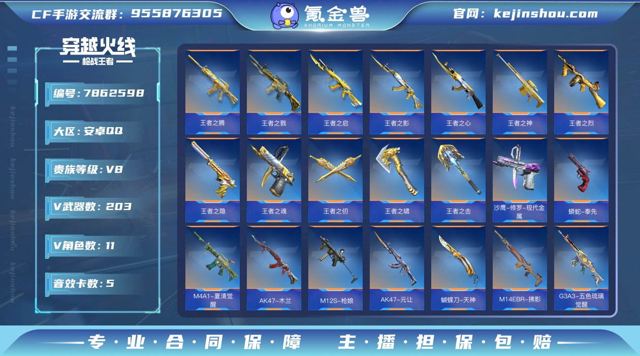 实名: 可修改 v武器数: 203 王者武...