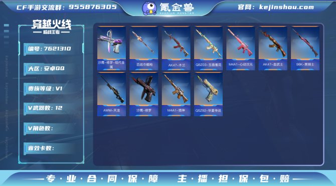 实名: 可修改 v武器数: 12 v武器:...