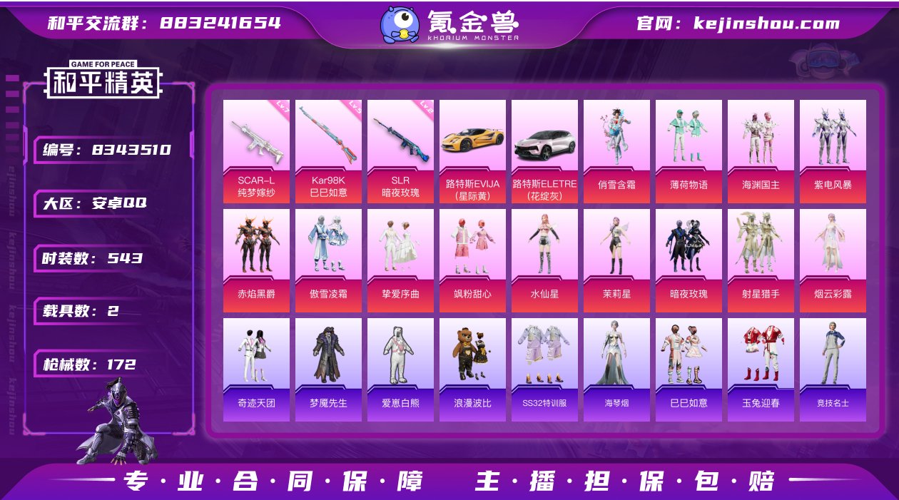 13粉装 3特效枪 2载具 13印记 可二...