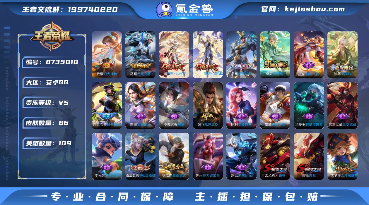 贵族V5 传说皮肤5 史诗皮肤17 皮肤数...