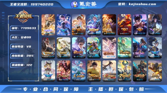 285皮2典藏1无双2珍品17传说1星元 ...