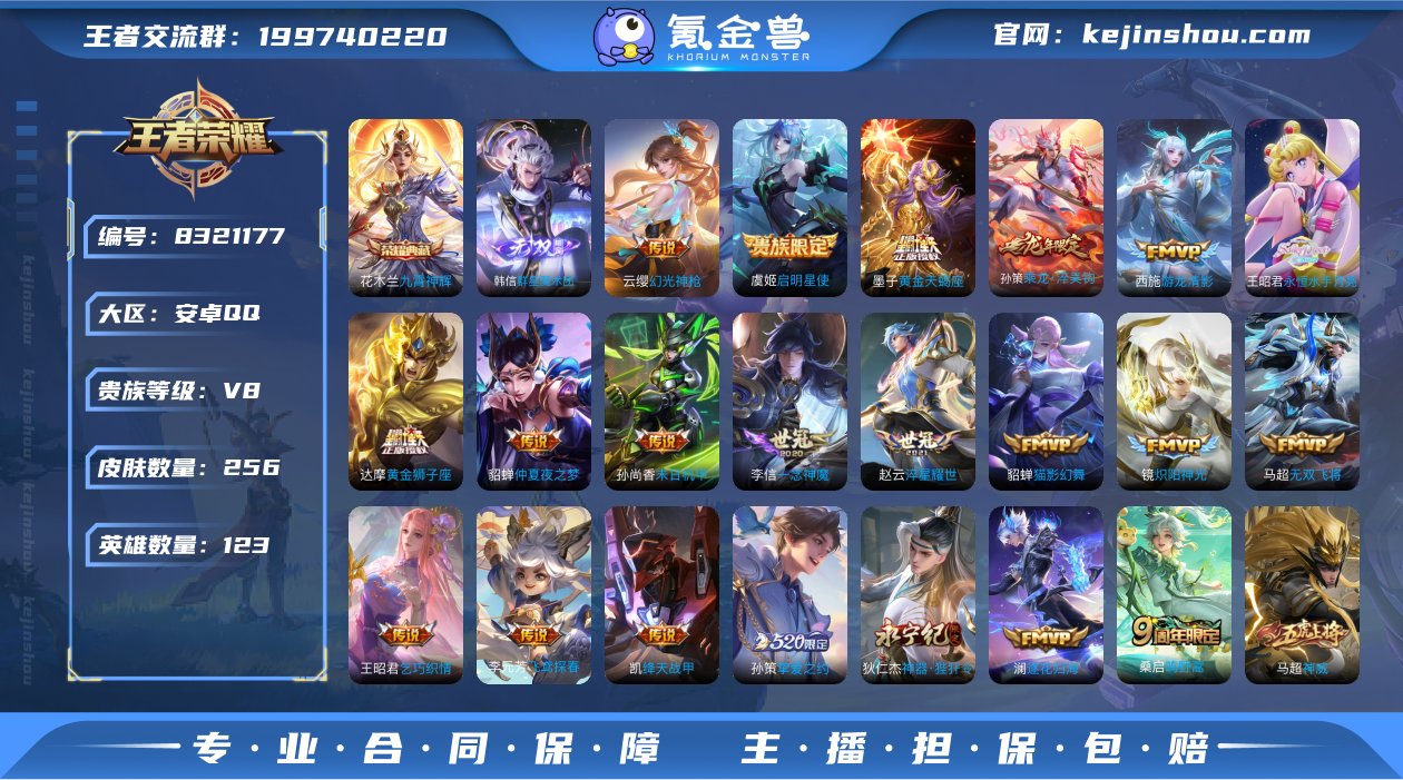 【WZZ2922】贵族8/皮肤256/典藏...