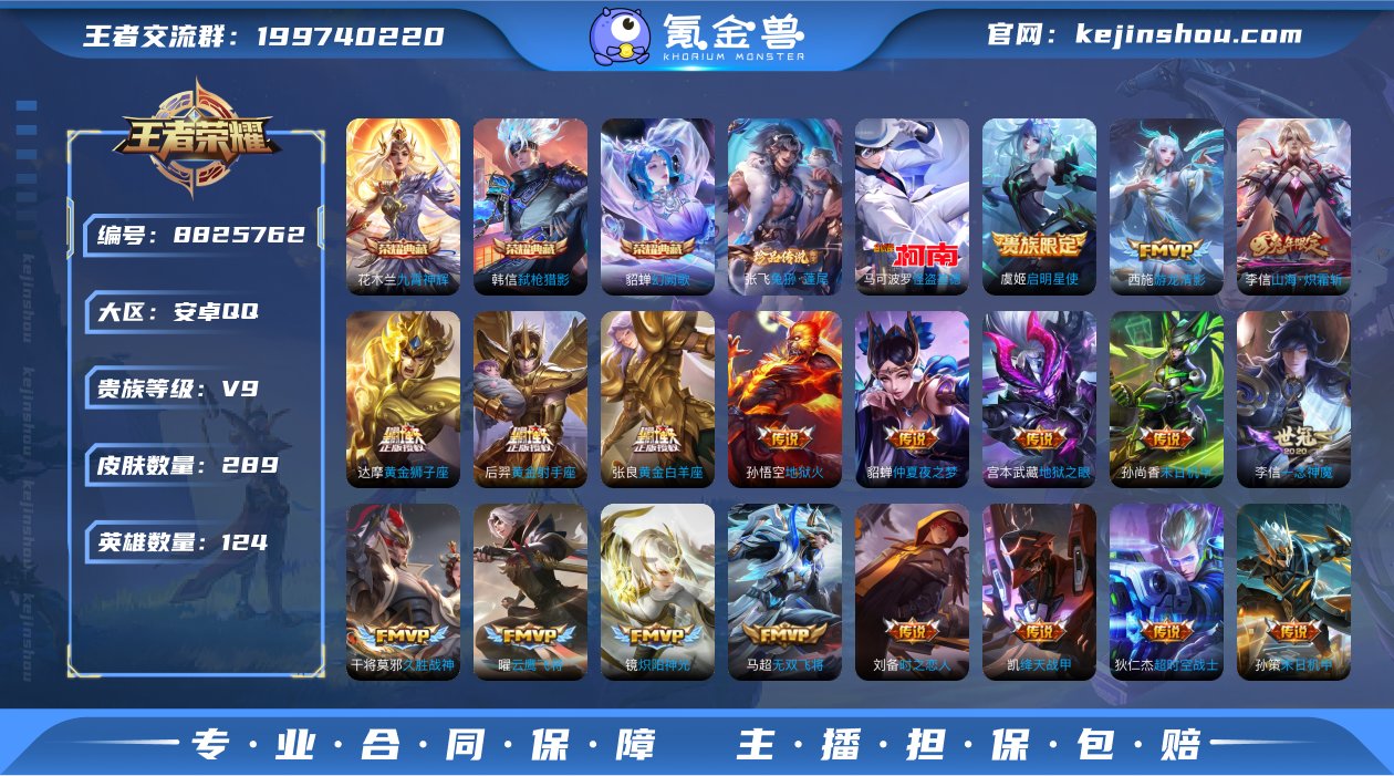 【WZZ2993】贵族9/皮肤289/典藏...