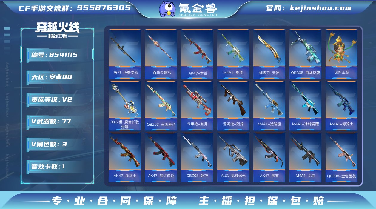 实名: 可修改 v武器数: 77 V/王者...